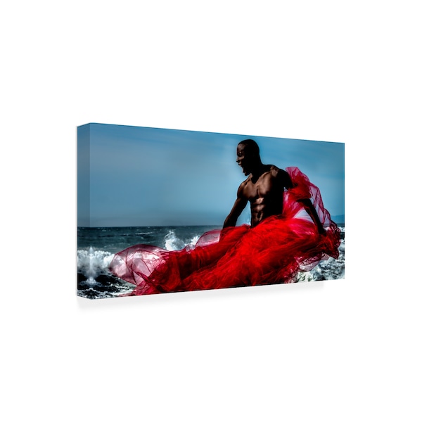 Peter Muller Photography 'Fire And Water Warrior' Canvas Art,12x24